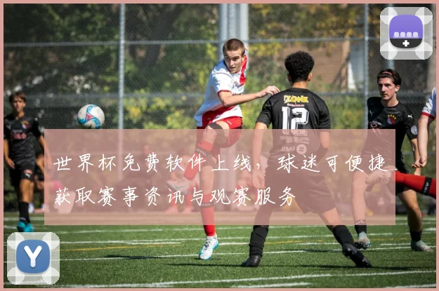 世界杯免费软件上线，球迷可便捷获取赛事资讯与观赛服务