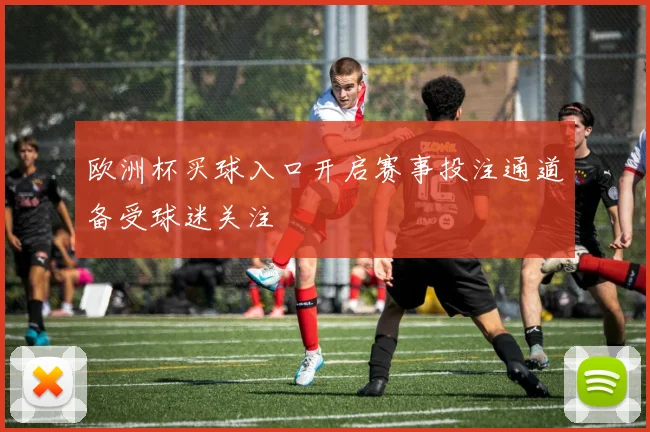欧洲杯买球入口开启赛事投注通道备受球迷关注