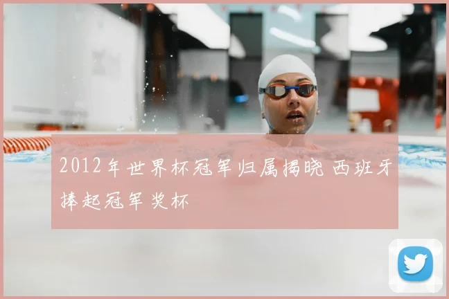2012年世界杯冠军归属揭晓 西班牙捧起冠军奖杯