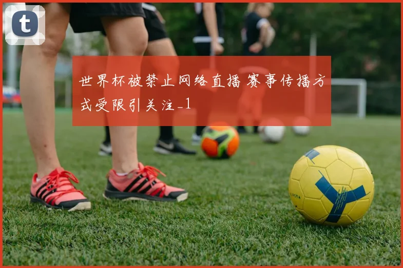 世界杯被禁止网络直播 赛事传播方式受限引关注_1