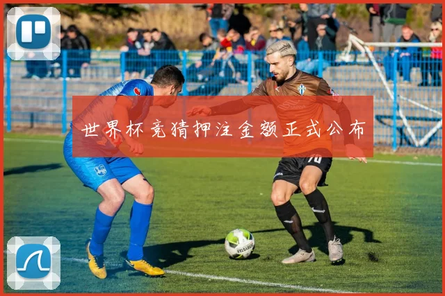 世界杯竞猜押注金额正式公布