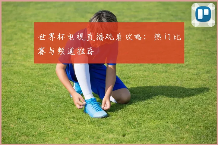 世界杯电视直播观看攻略：热门比赛与频道推荐