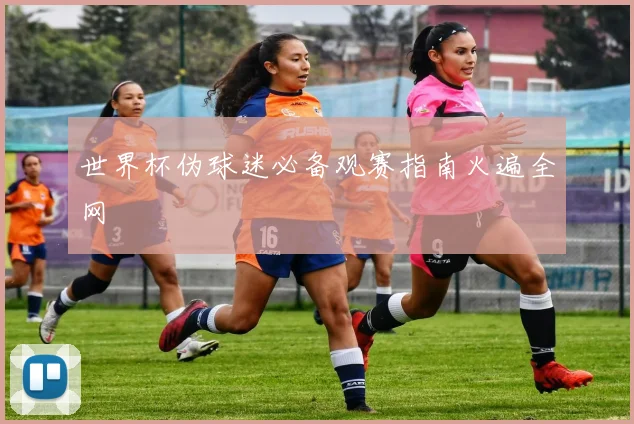 世界杯伪球迷必备观赛指南火遍全网