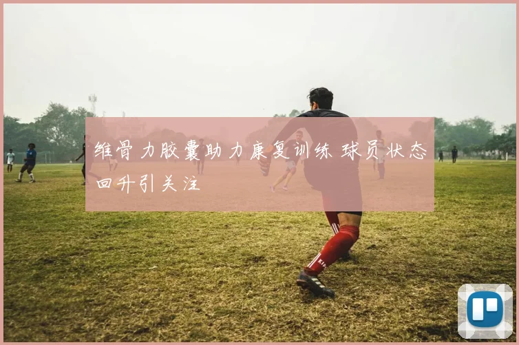 维骨力胶囊助力康复训练 球员状态回升引关注