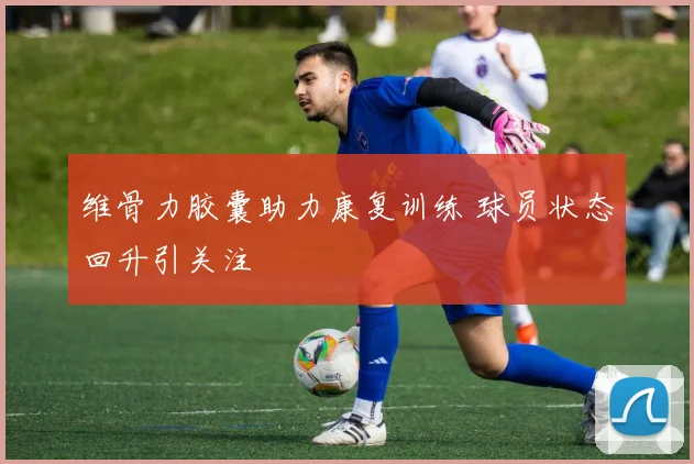 维骨力胶囊助力康复训练 球员状态回升引关注
