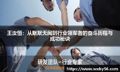 王汝恒：从默默无闻到行业领军者的奋斗历程与成功秘诀